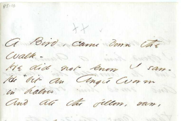 Handwritten manuscript of the first stanza of "A Bird, came down the Walk-"