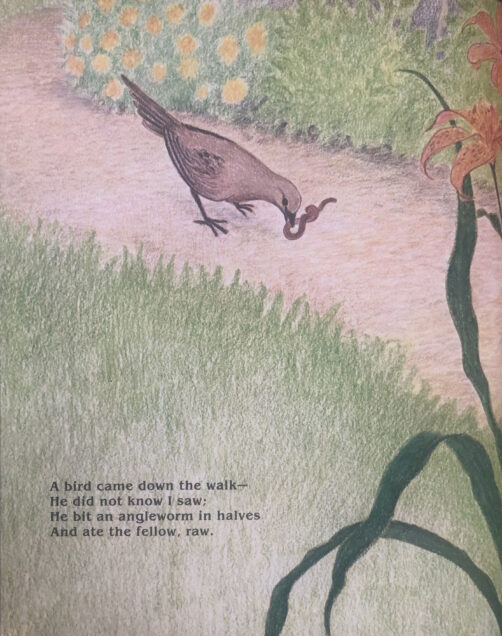 Image 1 of 3: Rex Schneider allots the poem three full pages of warm colored pencil illustration, tracking the bird in three actions: eating the worm, letting “a Beetle pass,” and finally taking flight above a young Dickinson stand-in