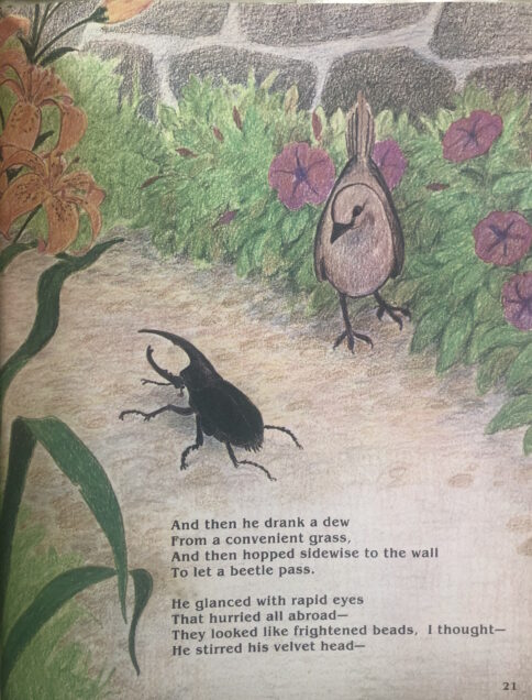 Image 2 of 3: Rex Schneider allots the poem three full pages of warm colored pencil illustration, tracking the bird in three actions: eating the worm, letting “a Beetle pass,” and finally taking flight above a young Dickinson stand-in