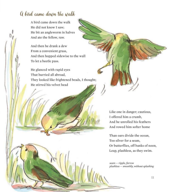 Illustrator Christine Davenier emphasizes this first stanza in a triptych-like watercolor series of the bird eating the worm, turning to the invisible speaker, and taking flight 