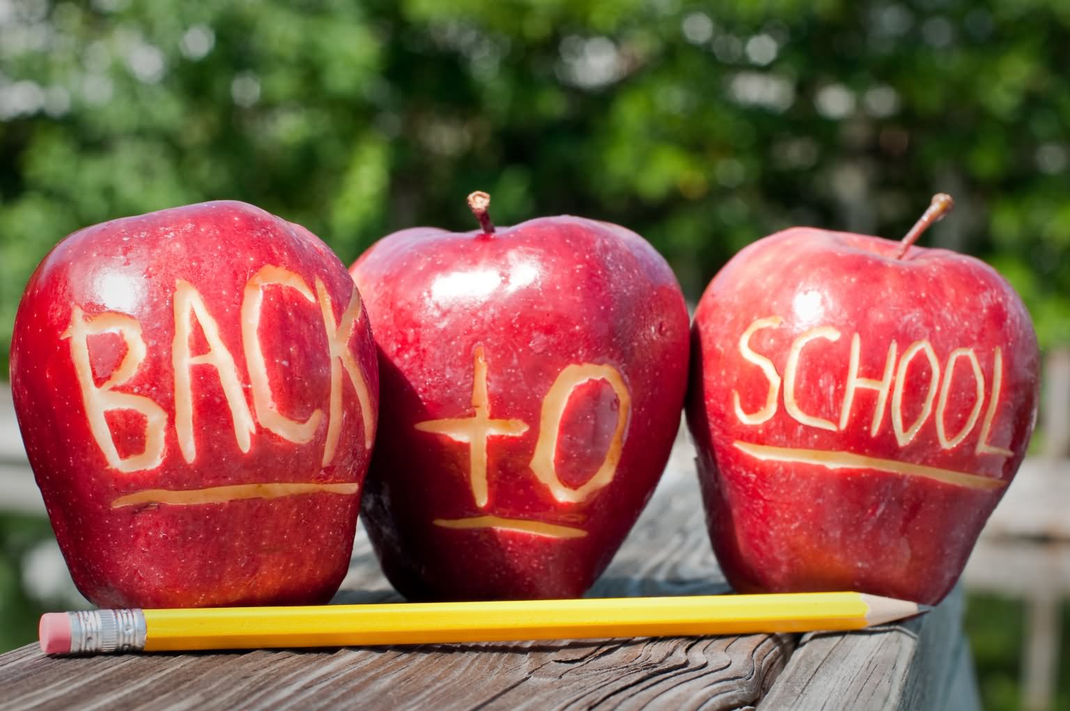 Back-To-School-Apple-Picture.jpg