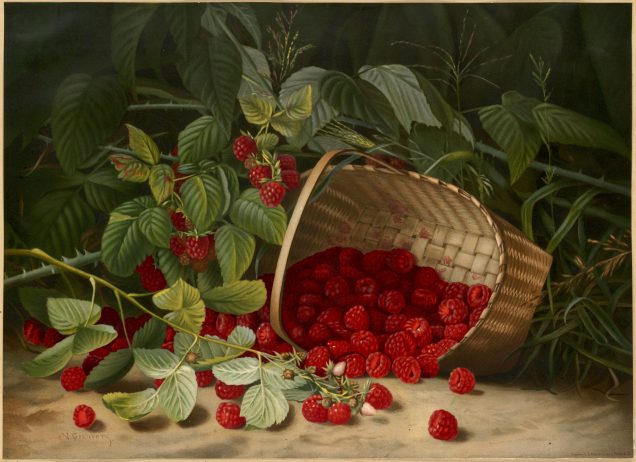 Painting of raspberries spilling from a basket