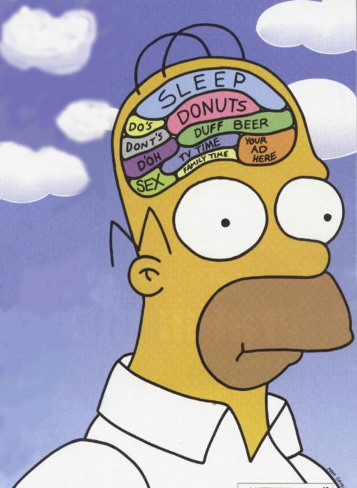 Are there REALLY parts of the brain dedicated to categories of thoughts like some reports say? 