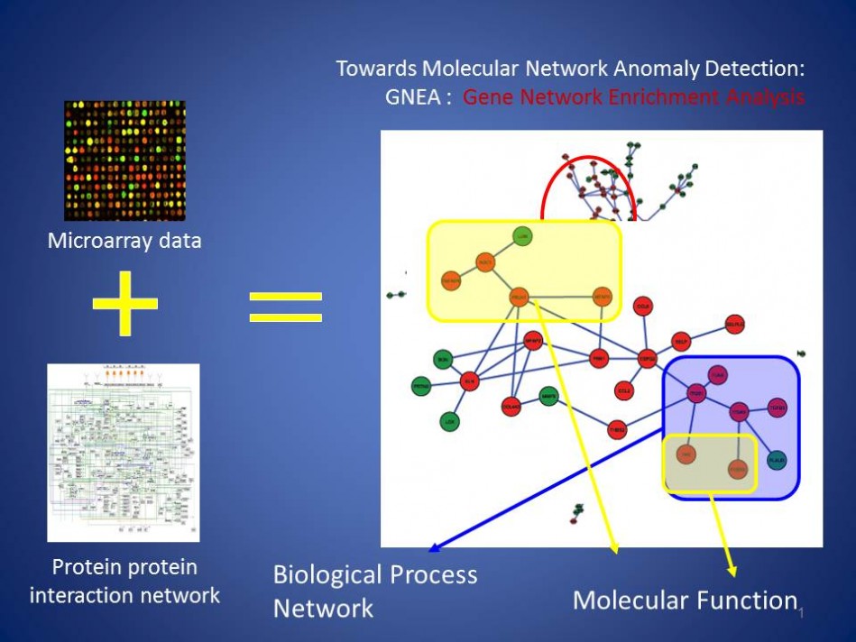 Towards Molecular Network Anomaly Detection