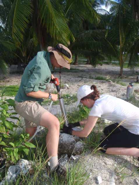 PI Diane Thompson and Kim Cobb core a fossil coral at Kiritimati Atoll