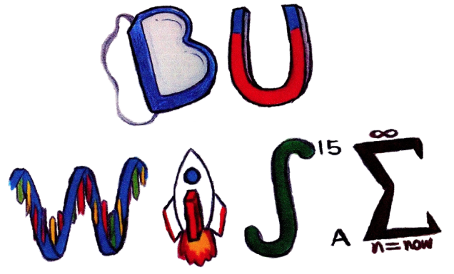 BUWISE Logo trans