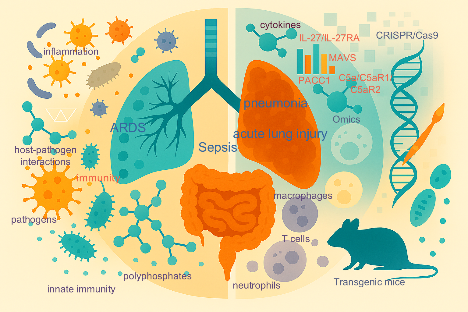 Lung with different Bosmann Lab research keywords