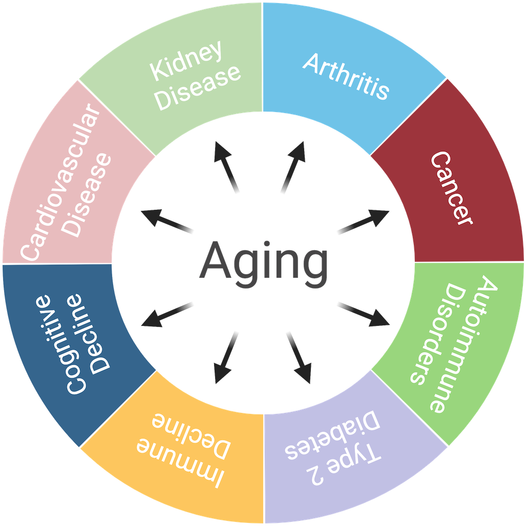 mission-vision-center-for-aging-research