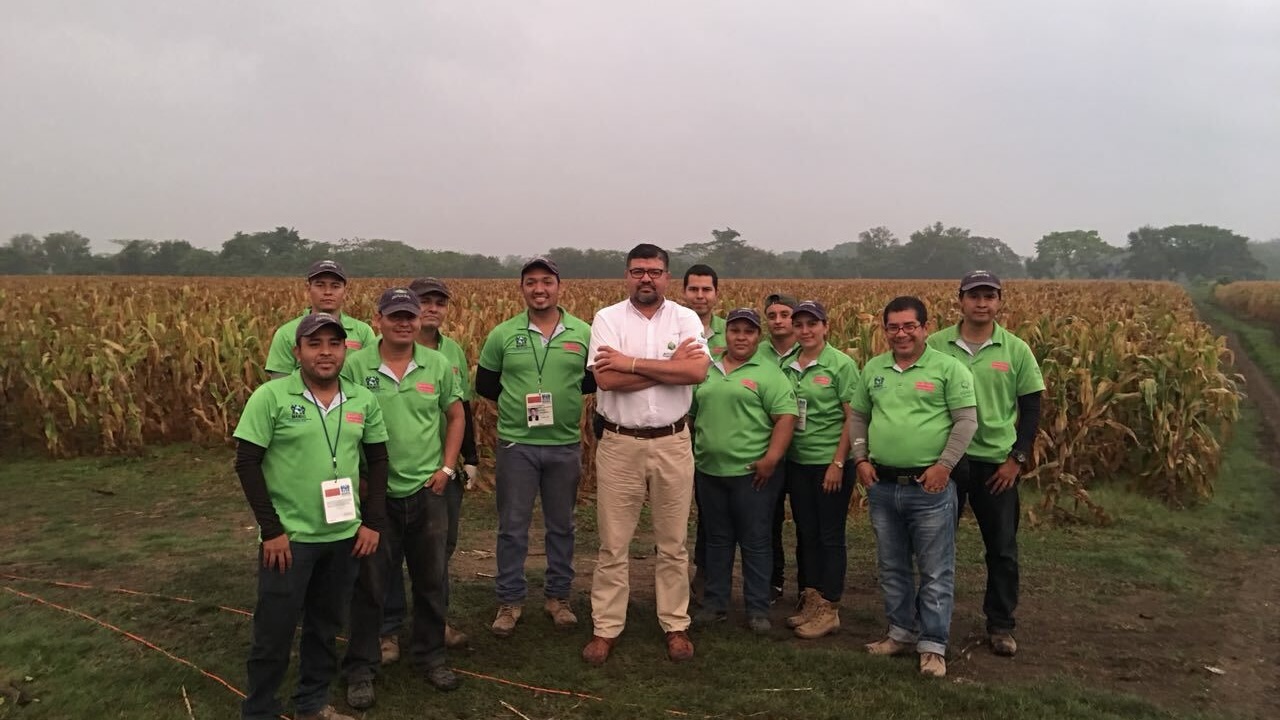 A picture of El Salvador Team agains a corn field.