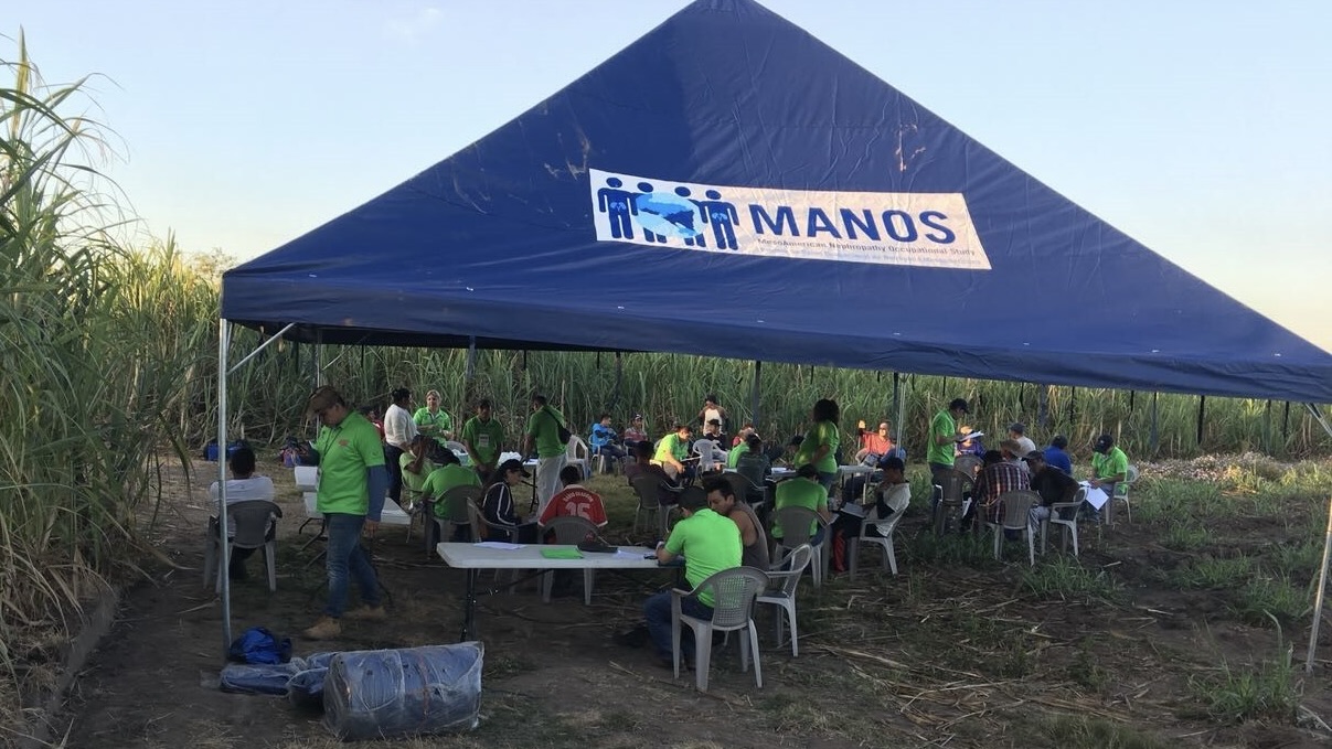 Team members wearing a light green shirt are sitting down under a blue tent in a corn field that reads "MANOS"