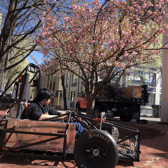 Car with driver under a blooming cherry tree