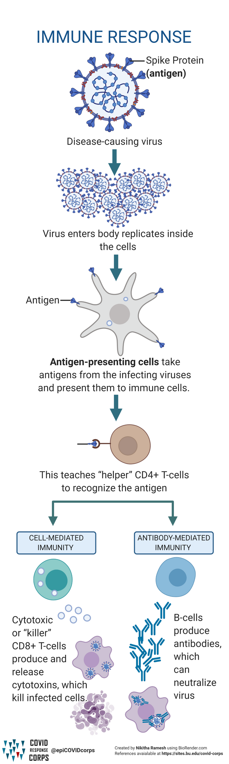 Types of Vaccines Infographics Epidemiology COVID19 Response Corps