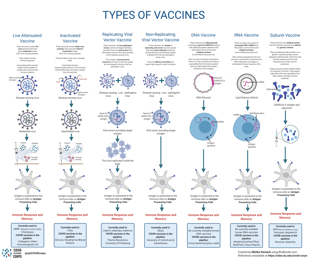 Types Of Vaccines Infographics 