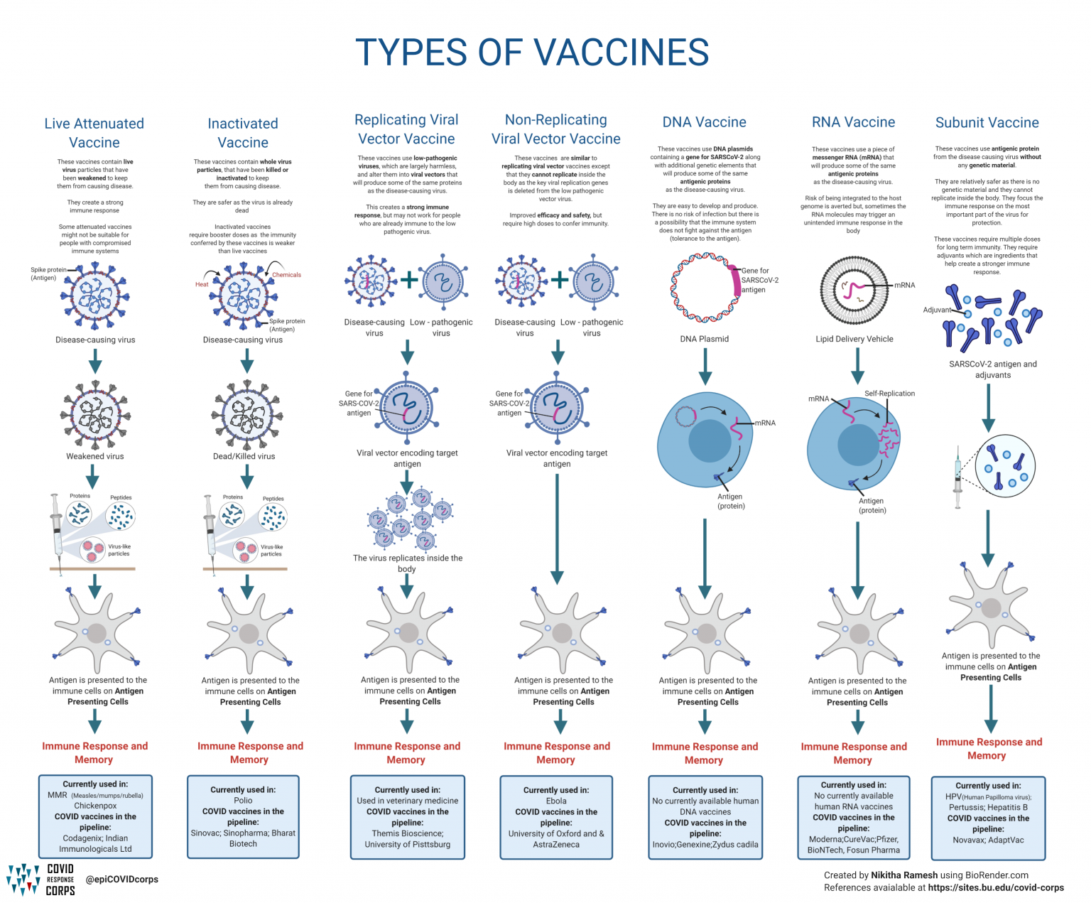 types of vaccine essays