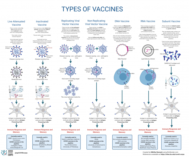 vaccine topics for essay