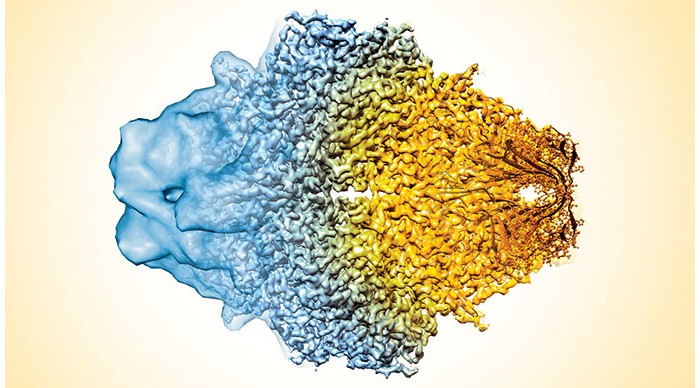 lower resolution part of a protein structure cross-fading into a higher resolution part of a protein structure 