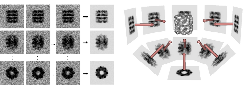 CryoEM Core Facility