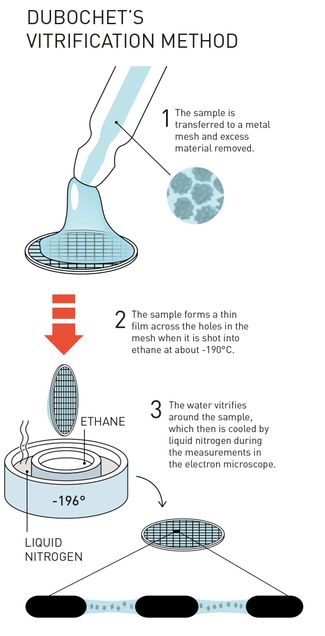 sample transfer and vitrification of a cryoEM grid