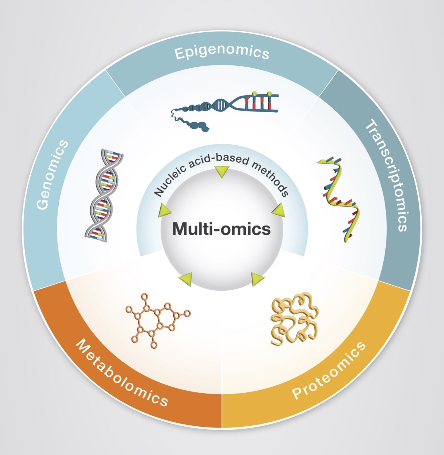 A circle diagram presenting the 5 key concepts of Multi-Omics; Genomics, Epigenomics, Transcriptomics, Proteomics, and Metabolomics