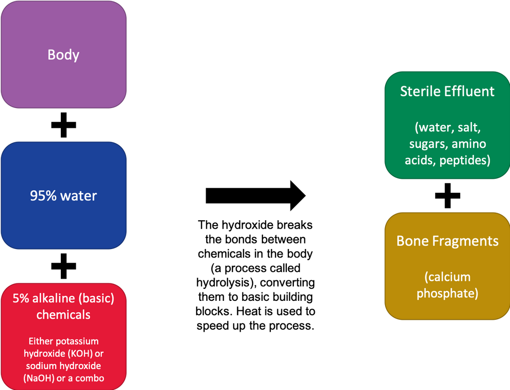 green-burial-cremation-alkaline-hydrolysis-dome-blog-archive