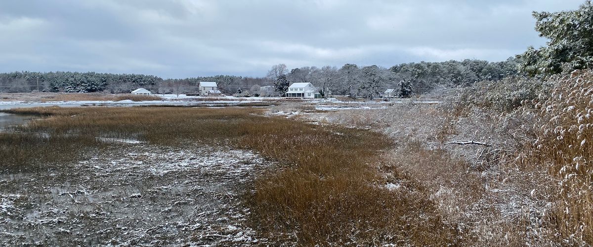 Image of open field