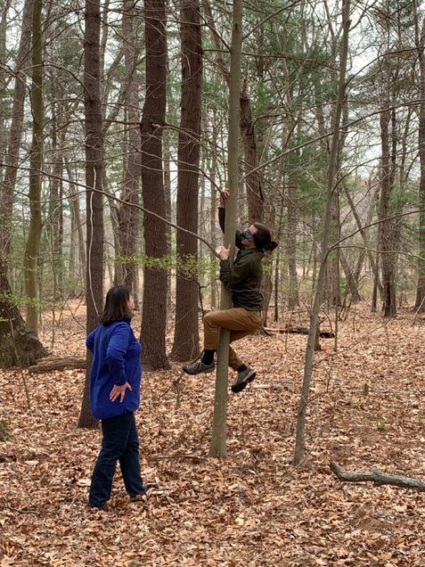 Student climbs a tree blindfolded as part of a retreat exercise.