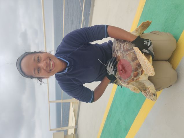 Headshot of Catherine Lee Hing, a person with medium tan skin, from the waist up, smiling while kneeling with a turtle resting on her thighs. A GPS tracker is stuck to the turtle's dorsal shell.