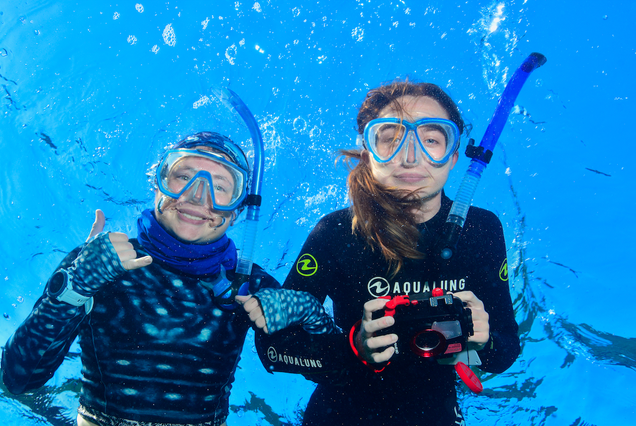 Two snorkelers underwater