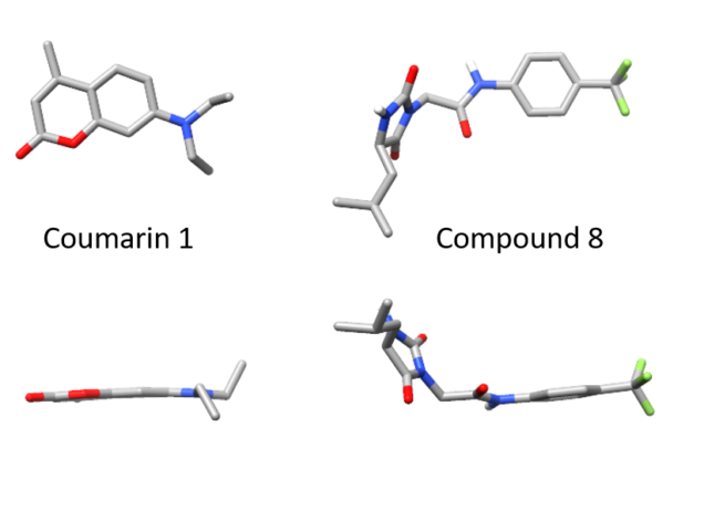 Molecular structures of two small molecule light chain stabilizers.