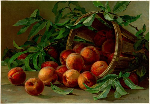 painting of peaches in a basket