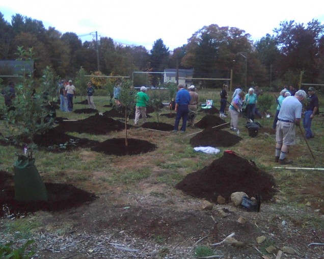 Figure 2: Newtown Victory Garden Tree Planting Site