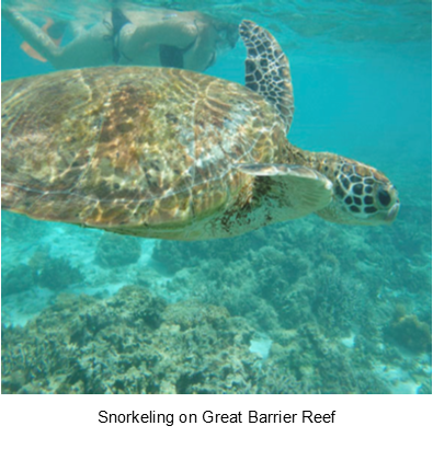 Snorkeling on Great Barrier Reef