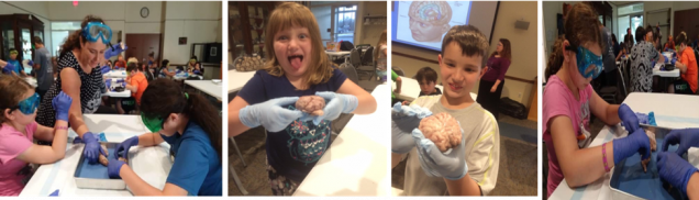 A group of young students dissect a sheep brain with the supervision of a teacher, and hold sheep brains in their gloved hands.