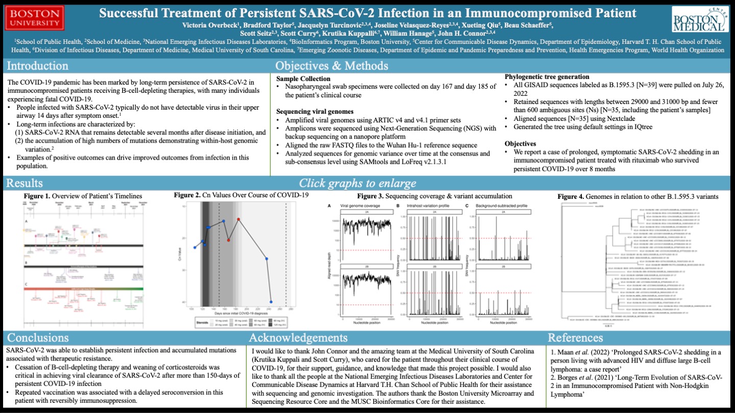 persistent infection sars cov 2