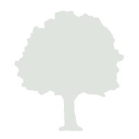 Karin Grunebaum Cancer Research Foundation