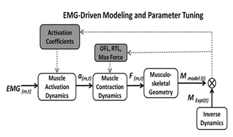 methods_emg drive modeling