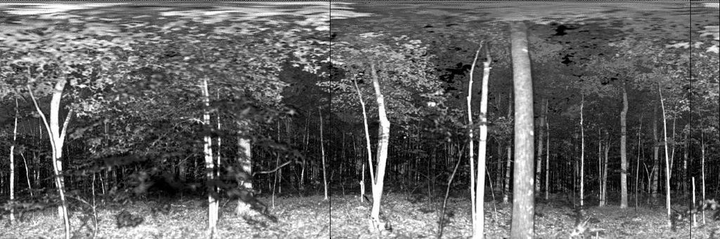 EVI/LVIS » Terrestrial Scanning Lidar Research | Boston University