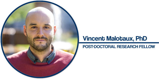 Vincent Malotaux, PhD