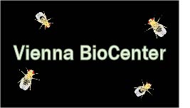 Vienna BioCenter link