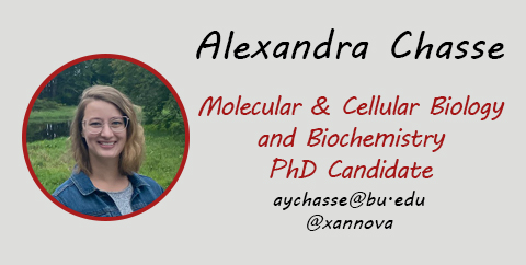 Alexandra Chasse, PhD Candidate, Email: aychasse@bu.edu, Twitter: @xannova