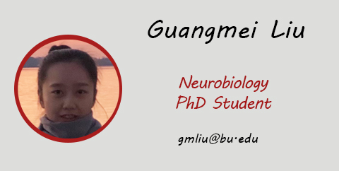 Guangmei Liu, PhD Student, Email: gmliu@bu.edu