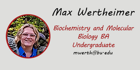 Max Wertheimer, Undergraduate, Email: mwerth@bu.edu