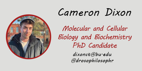 Cameron Dixon, PhD Candidate, Email: dixonct@bu.edu, Twitter: @drosophilosophr