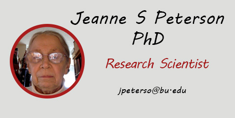 Jeanne S Peterson PhD, Research Scientist, Email: jpeterso@bu.edu