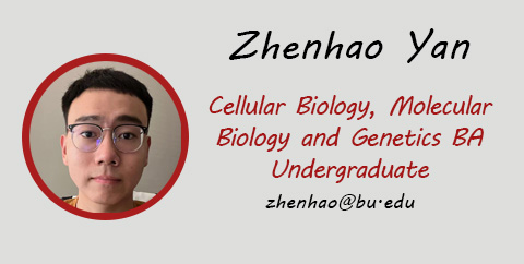 Zhenhao Yan, Undergraduate, Email: zhenhao@bu.edu