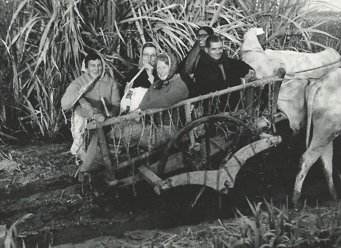 Women’s Trip by Bullock Cart, c.1960