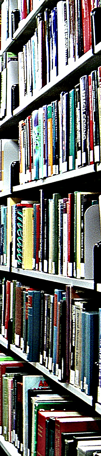 library-book-shelves thin 2