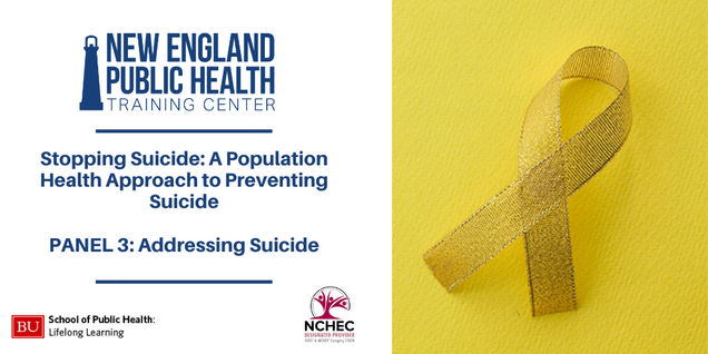 Stopping Suicide: A Population Health Approach To Preventing Suicide ...