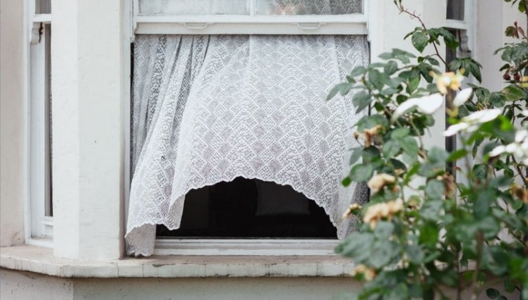 An open window with a white lace curtain billowing outward, partially obscuring the dark interior. A flowering bush with green leaves and white and yellow blossoms grows nearby, framing the window.