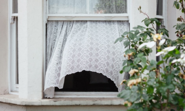 An open window with a white lace curtain billowing outward, partially obscuring the dark interior. A flowering bush with green leaves and white and yellow blossoms grows nearby, framing the window.